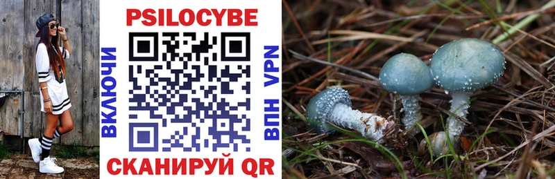 Галлюциногенные грибы Psilocybine cubensis  Володарск 